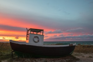 Hirschbrunft Zingst