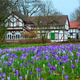 Ahnepark_Volker Siesenop