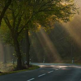 Paul Würthner_Straße zum Licht