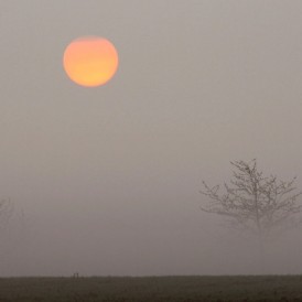 Morgennebel_Peter Rausch