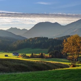 Streiflicht_Volker Siesenop