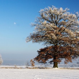 Eiskalt_Gerhard Müsch
