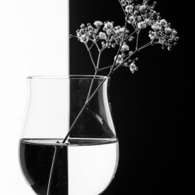 Schwarzweiß_Stefan Wendling