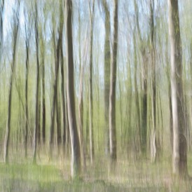 Wald_Christophe Guerry