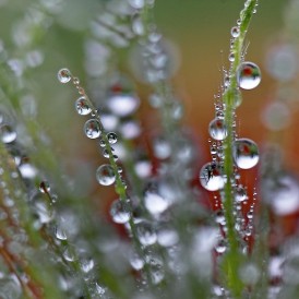 Wassertropfen_Jupp Beppel