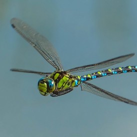ImFlug_PaulWürthner