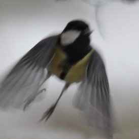 Blindflug_Günter Bruns