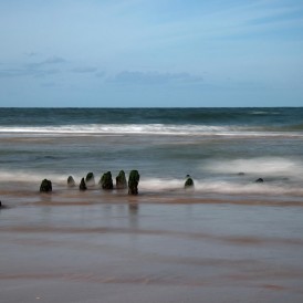 Am-Meer_Friedrich Gareis