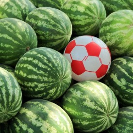 Der-Ball-ist-rund_Friedhelm Kütz
