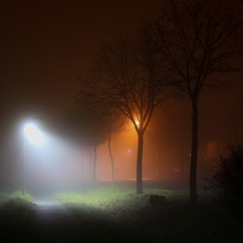 Licht-im-Nebel_Stefan Wendling