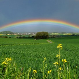 Regenbogen-über-Rothwesten_Volker Siesenop