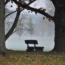 Klaus-Exner_Herbst