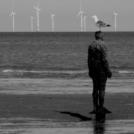 Windkraft_Gerhard Müsch