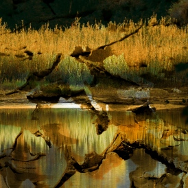 SpiegelWind_Jürgen Kopp