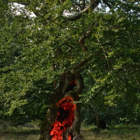 Es brennt_Lothar Heintz