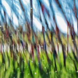 Mikado_Lothar Heintz