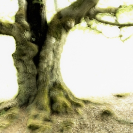 Im-Licht_Paul Würthner