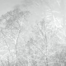 Winterwald_Rudolf Müller