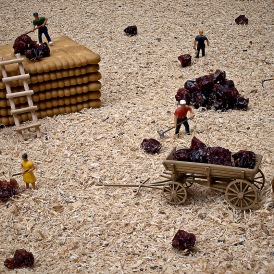 Erntezeit_Stephan Brede