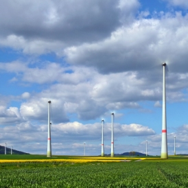 Flügellos_Volker Siesenop