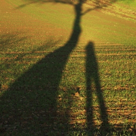 BaumSchattenFotograf_Werner Waldrich