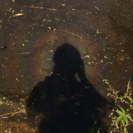 Fotografenaura_Werner Waldrich