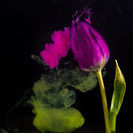 Stefan Wendling