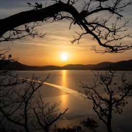 Heike Stohwasser