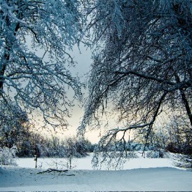 Januar 11