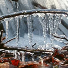 November 12 - Volker Siesenop