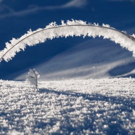 Januar 16 - Volker Siesenop