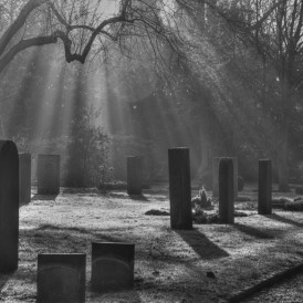 November 16 - Friedrich Gareis