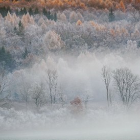 Januar 17 - Ulrike Zeiger