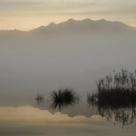November 17- Volker Siesenop - Morgennebel