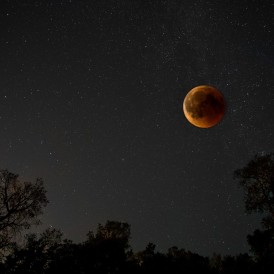 November 18 - Stefan Wendling - Blut-Mond
