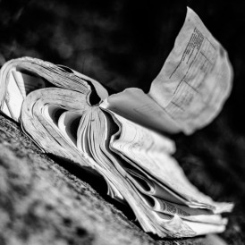 Februar 19, Christophe Guerry, Buch im Wind
