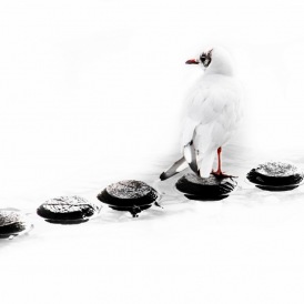 September 20, "Möwenblick" , Stephan Brede