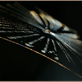 März 20, "spinnenfingrig", Ulrike Zeiger