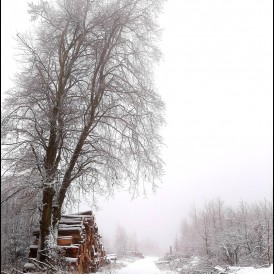 Dezember 20, "Winterstimmung am Hohen Gras", von Herbert Schmidt