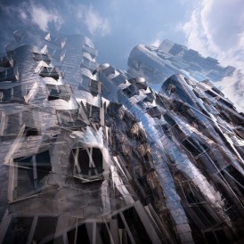Bild des Monats Mai 2023 - "Wilde Kunst" - Stephan Brede