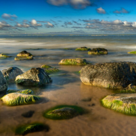 September 2024 - "Stone Garden" Alexander Lucht