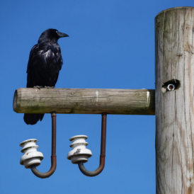 März 2025 - Werner Amerkamp: "Alles im Blick"