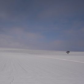 Jan 2026 Paul Würthner