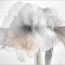 Bilder sehen - 2
