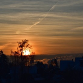 "Morgenstimmung"- , von Dagmar Wilken Nikon D7500 - 1/800s - f/9 - ISO 200 - 52mm
