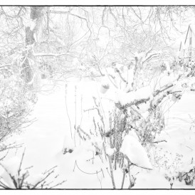 "Wintergarten"- , von Rudolf Müller Fuji-XE 1 - 1/105s - f/4 - ISO 200 - 55mm