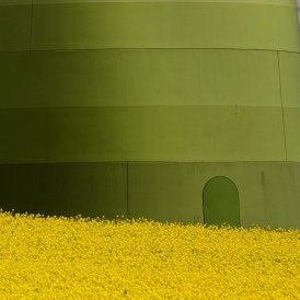 "Grüne Energie"- , von Werner Waldrich Nikon D 5300 - 1/1250s - f/10 - ISO 200 - 300 / 450mm