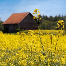 "Rapshäuschen"- , von Stephan Brede Canon M50 - 1/320s - f/F/14 - ISO 200 - 119mmmm