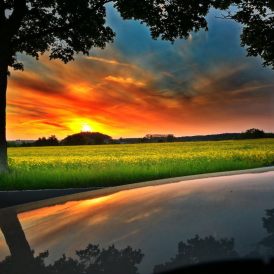 "Letzte Gelegenheit"- , von Günter Starke Nikon Z 50 - 6 Seks - f/10 - ISO 100 - 25mm
