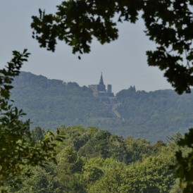 Werner-Waldrich-1